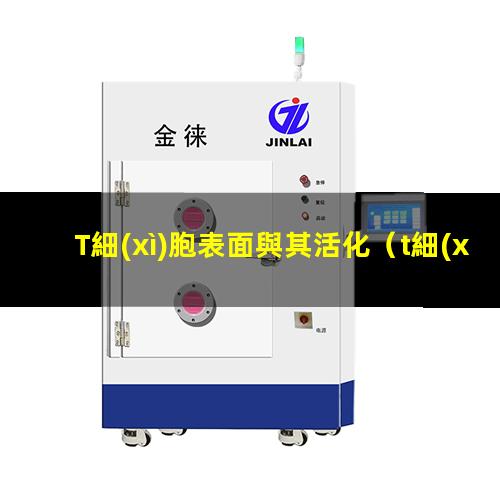 T細(xì)胞表面與其活化