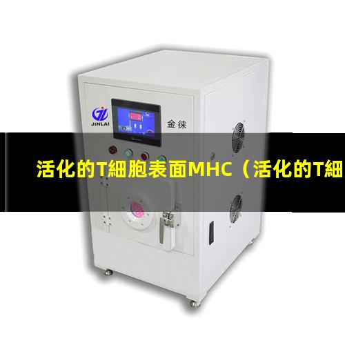 活化的T細胞表面MHC